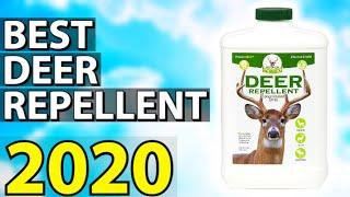 Best Deer Repellent 2022 | Top 5 Deer Repellents