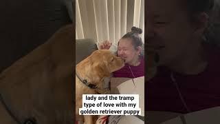 lady and the tramp type of love with my golden retriever puppy