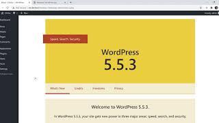 How to Downgrade WordPress