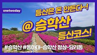 [부산] 승학산 등산코스!ㅣ초보, 등린이ㅣ부산 데이트 코스 추천! (철쭉과 억새풀이 멋진 산!)