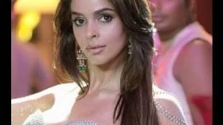 Mallika Sherawat will sizzle as Jalebi Bai in Double Dhamaal