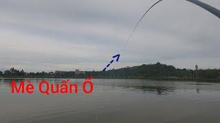 Fishing | Câu Đài | Tập 129 | Quay Lại Đập Tràn Tân Hà , Cá Mè Quấn Ổ | Nghiện Câu TV