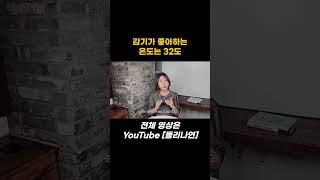 김나연의 보이스스타일링 - 감기가 좋아하는 온도는 32도