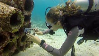 Pulau Weh Scuba Diving In Iboih Beach, Gapang, Rubiah Jetty and the other