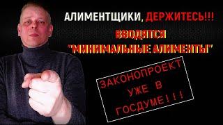 Алиментщики, держитесь! Наступают тяжелые времена. Вводится минимальный размер алиментов! Новости