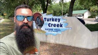 Turkey Creek Nature Trail || Things to do in Niceville, Florida