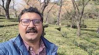 DHARAMSHALA TEA GARDENS |TOUR|SAFAR WITH SANJEEV|