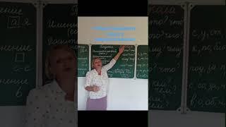 Падежи имен существительных