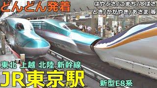 JR東京駅 (東北新幹線) 2どんどん電車が発着！●はやぶさ、こまち、つばさ、やまびこ、とき、かがやき、あさま 等（東北・北海道・秋田・山形・上越・北陸）【JR東日本】