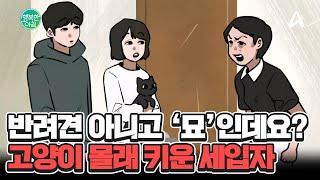 고양이 6마리 몰래 키운 세입자 커플 반려견 아니라고 우기는 세입자 어떻게 할까요?ㅠㅠ #진상세입자 | 행복한 아침 1492 회