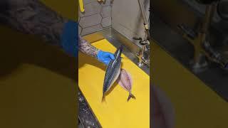 Butterfly filleting a fresh Mackerel fish. #fish #fishmonger #fishcounter