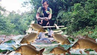 Mr. Nam left a message - mother and son accidentally met a giant fish in the stream.