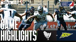 Raiders Tirol @ Stuttgart Surge - Highlights | Week 12