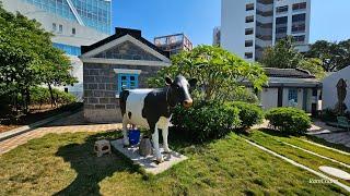 香港本地遊～Local Silent Walker~薄鳧林牧埸（前身為牛奶公司職員宿舍）、伯大尼修院、國際厨藝學院。（Nov 2023）