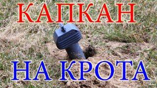 Капкан на крота
