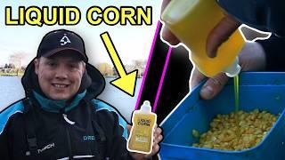 Corn Tip For Winter Carp Carp & Match Fishing