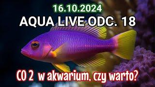 AQUA LIVE ODC. 18 | CO2 w akwarium, czy warto? | 16.10.24 |  #aquascapingtv