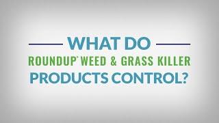 Learn the Basics of Roundup® Weed & Grass Killer Products - What Do They Control?