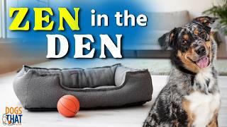 Why Every Dog Needs A Training Den: Boost Focus, Reduce Distractions And Build Confidence