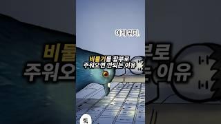 비둘기를 함부로 주워오면 안되는 이유