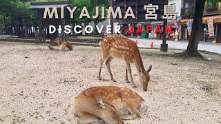 Miyajima, japan's sacred island - Discover Japan (4K Travel Video) #miyajima