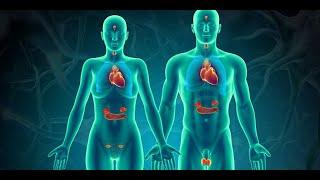 Anatomy and Physiology of Endocrine System