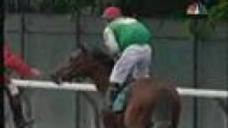 Afleet Alex Belmont Stakes 2005 - amazing kick in the end!