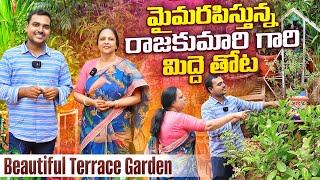 తప్పకుండా చూడాల్సిన మిద్దెతోట RajaKumari Terrace Garden