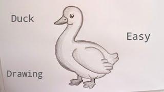 how to draw duck drawing || duck drawing easy || pencil drawing@DrawingTalent