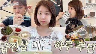 그거 그냥 두면 살 된다? 급찐살&폭식살 바로 빼는 단 하루 루틴 브이로그 진짜 맛있는 다이어트템들 공유 (안 질리는 시간,살 빠지게 물 마시는 법, 일반식 식단, 비밀이야기)