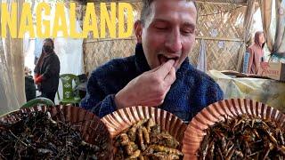 Eating Spiders, Grasshoppers And Worms in Nagaland