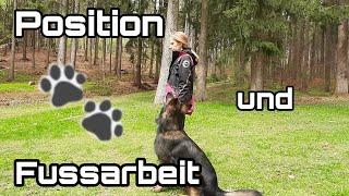 Fussarbeit beim Hund wie ich richtig Fusslaufen lerne, Position und Fussarbeit beim Hund aufbauen