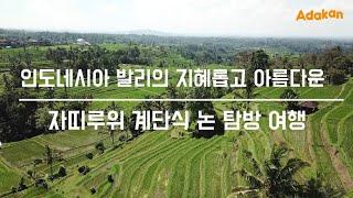 인도네시아 발리의 지혜롭고 아름다운 자띠루위 계단식 논 탐방 여행