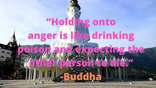 Buddha Quotes || Buddha life change quotes ||  ||inspirational quotes|| Aura - Knowledge and Energy