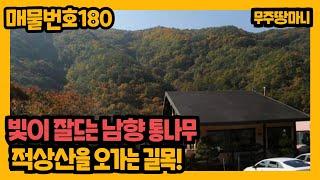 매물번호 180. 빛이 잘드는 남향, 숲과 어울리는 통나무집 매매