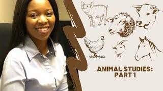 Grade 10 | Animal Studies Part 1 | Agricultural Sciences