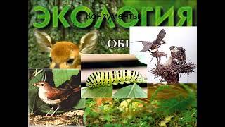 Основы экологии