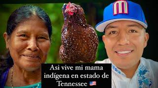 Asi vive mi mama indígena de Oaxaca en Estados Unidos  Tennessee 