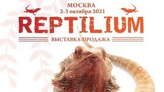 ПРЯМОЙ ЭФИР REPTILIUM 2021 МОСКВА / ВЫСТАВКА ПРОДАЖА