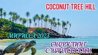 COCONUT TREE HILL /Снорклинг с черепахами / МИРИССА/ ШРИ-ЛАНКА 2023