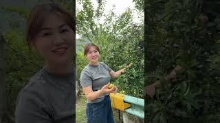 我们农村就是安逸，吃什么都是新鲜的#农村