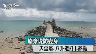 廢棄堤防變身　天堂路、八卦道打卡熱點