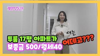 대구아파트월세 500/40만원 가성비 대박 아파트 - 성서주공2단지아파트