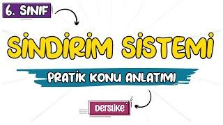 Sindirim Sistemi | 6. Sınıf Fen Bilimleri | 2023