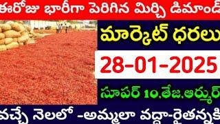 28-01-2025 గుంటూరు మిర్చి మార్కేట్ ధర || Today #MirchiRates In market ||  Mirchi Rate Increase ??