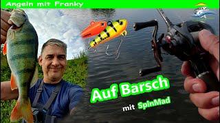 Barschangeln auf Barsch mit Jig Spinner SpinMad