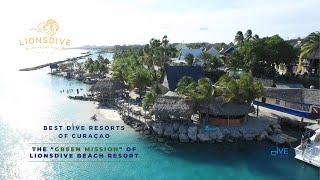 BEST Dive Resorts Curaçao | LionsDive Beach Resort Curacao | Curacao Travel Vlog