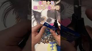 一起來開卡包-超級球參加獎 - #超級球連盟賽 #PTCG #寶可夢 #抽卡  #小花小草玩卡趣