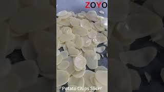 High Efficiency 3 Ton per Hour Potato Chips Slicer