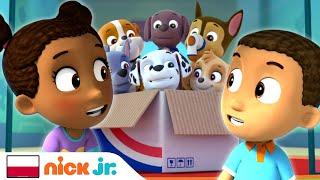 Psi Patrol | Pieski ratują bliźniaki! | Nick Jr.